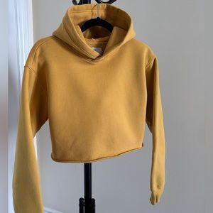 Aritzia TNA Cropped Fleece Hoodie